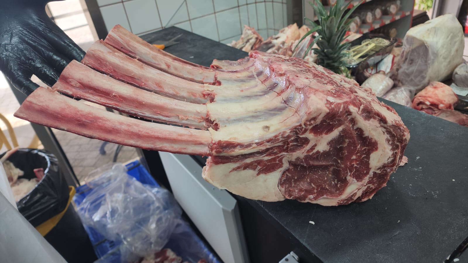 WhatsApp Image 2023-01-25 at 7.03.17 PM (1).jpeg